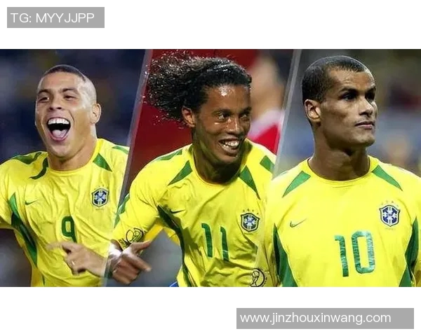 狮子足球明星的名字盘点与他们的辉煌成就分析