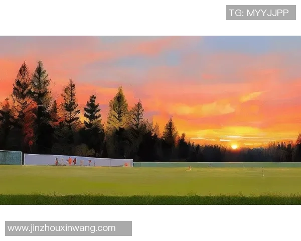 足球明星背景歌曲精选集让你感受绿茵场上的激情与梦想