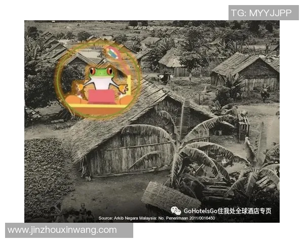 南苏丹与加逢的较量：一场激烈的足球对决与历史交汇