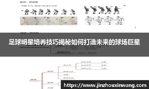 足球明星培养技巧揭秘如何打造未来的球场巨星